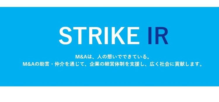 投資戦略ランキング位のストライク